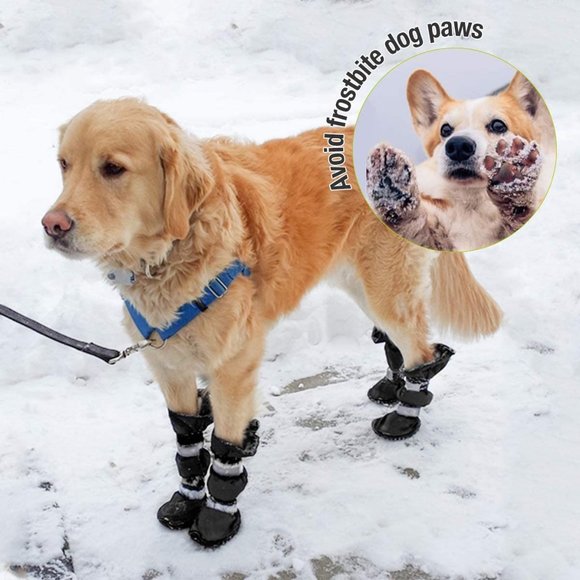 Long-Legged Dog Boots Outdoor Knee High Waterproof Anti-Slip Boots (Black, XS) - Picture 5 of 10